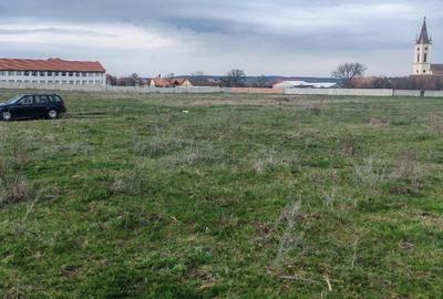 Teren de 2600 mp, în Apoldu de Sus - 3