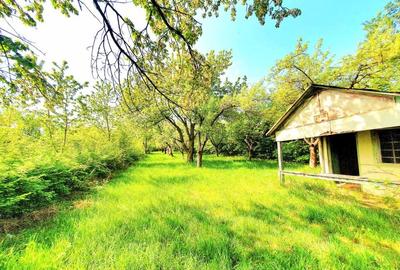 Teren agricol extravilan de 3200 mp, în Rășinari