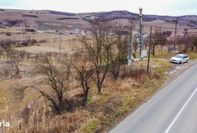 Teren de 1500 mp, în Ciurila - 5