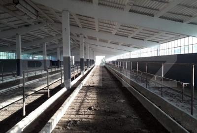 Teren de 950000 mp, în Central - 2