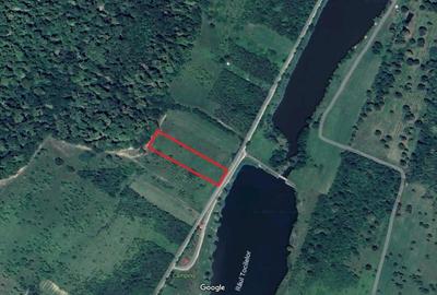 Teren extravilan 550mp  la drum ,spre vanzare in Tocile - 5