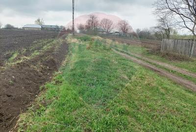 Teren agricol partial intravilan de vanzare in Filipesti jud. Bacau - 2