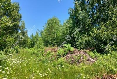 Teren intravilan 500 mp in Porumbacu de Sus, Sibiu - 3