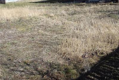 Casă cu 3 camere în Păduroiu din Vale - 8