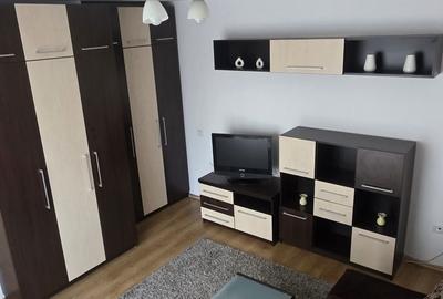 Garsonieră decomandată în Turnișor - 8