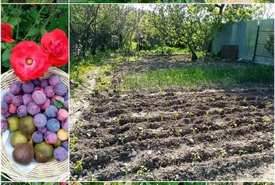 CASA CU GRADINA la 55 km de Bucure?ti (langa Titu) CASA CU GRADINA la 55 km de Bucure?ti (langa Titu) - 9