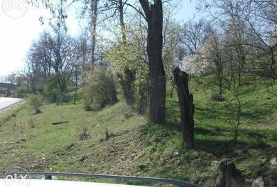 Teren Construcții intravilan de 3682 mp, în Măneciu-Ungureni - 7