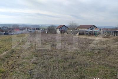 Teren de 1469 mp, în Malu Mare