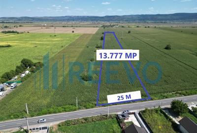 Teren de vanzare, Letea Veche, Jud. Bacau - 4