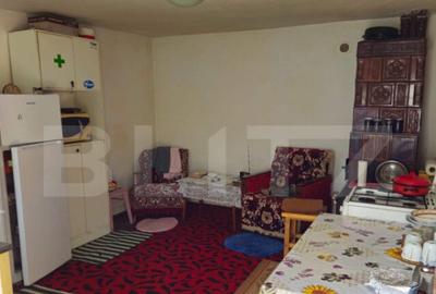 Casa spa?ioasa cu livada, intr-o zona lini?tia la 2 - 9