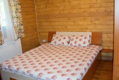 Casă individuală cu 3 camere cu Canalizare în Gura Râului - 3