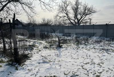 Casă cu 2 camere cu Teren 1426 Mp în Malu Mare - 4