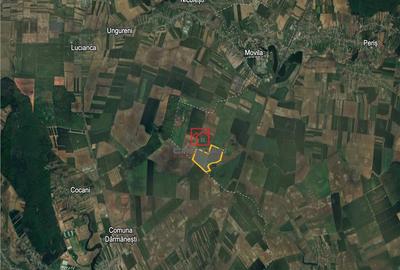 Teren Peris - Crevedia, Ilfov - 3