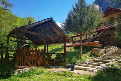 Casa de vacanta perfecta pe malul Cernei - 5
