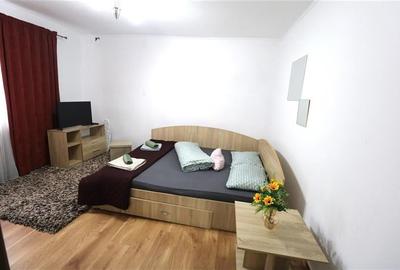 Casa, curte proprie, centrala in zona Sagului - 2