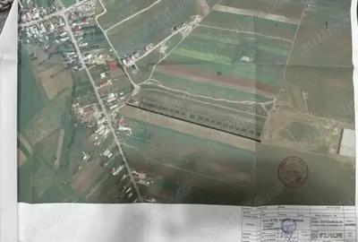 Teren de 1600 mp, în Dragomirești-Vale - 2