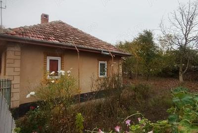 Casă cu 4 camere în Parepa-Rușani - 3