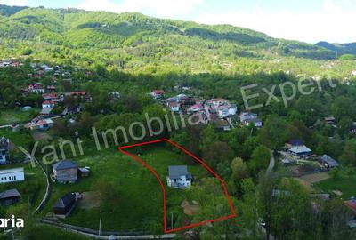 Casă cu 4 camere cu Teren 2435 Mp în Arefu - 2