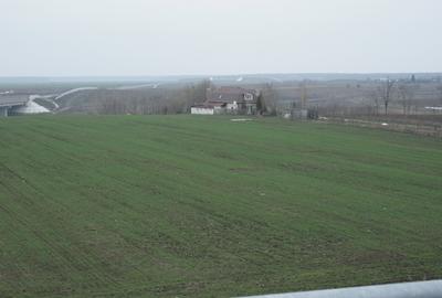 PARTICULAR, 10.200 mp. teren intravilan Moara Vlasiei, langa nodul A3 si Balta - 5