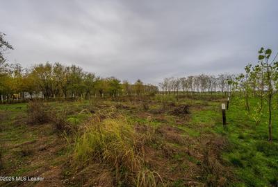 Teren în Afumați - 1