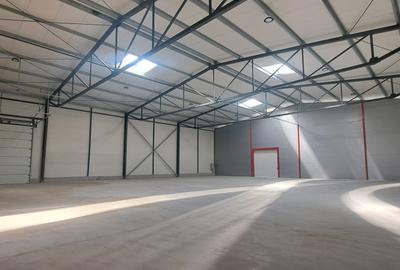 Drumul intre Tarlale, sector 3, hala 1180 mp - 7