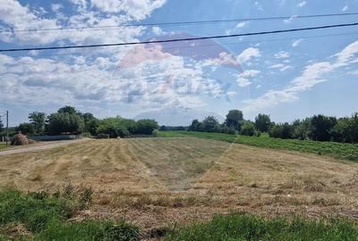 Teren Construcții intravilan de 28662 mp, în Onișcani - 4