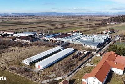 Spațiu comercial, în Teliu - 2