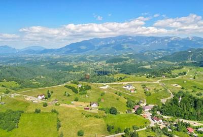 Teren de 13000 mp, în Șirnea - 5