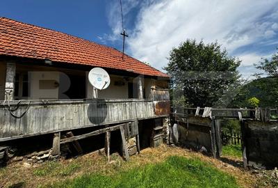 Casa la munte cu teren generos de 9340mp in zona Capalna - Valea Sebesului - 5