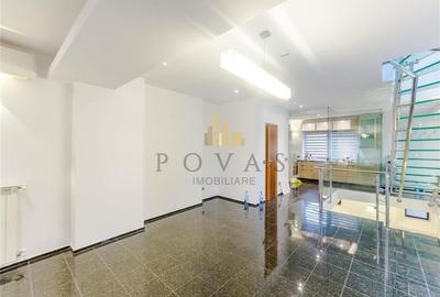 Vanzare Vila 5 Camere Vatra Luminoasa - 9