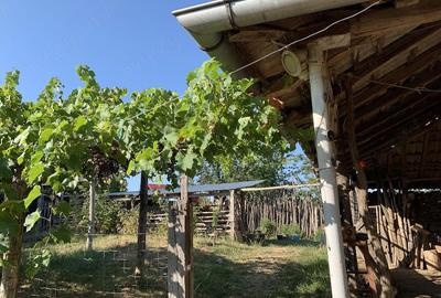 Casă cu Teren 1700 Mp în Central - 4