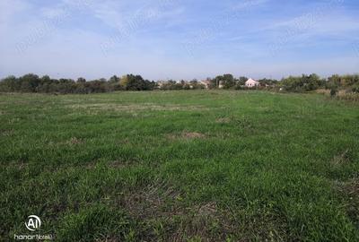 Teren de 13668 mp, în Dudeștii Vechi - 1