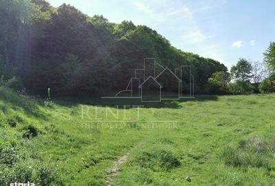 Spațiu comercial, în Bascov - 7