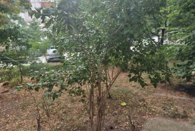 Vand apartament 3 camere - 10