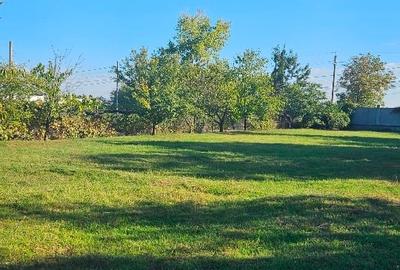 Teren Construcții intravilan de 4900 mp, în Balotești - 4