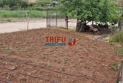 Spațiu comercial, în Pădure - 3