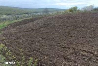 Teren de 2208 mp, în Comarna - 5