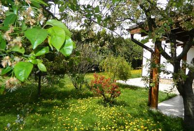 Apartament cu 4 camere, mobilat în Bartolomeu - 21