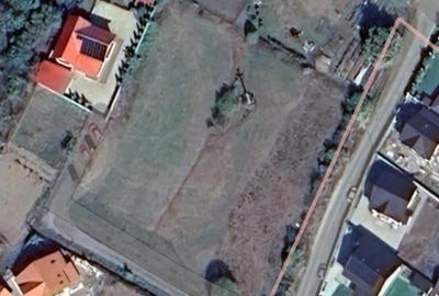 Spațiu comercial, în Cărpiniș - 2