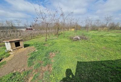 Casă cu 4 camere cu Teren 2170 Mp în Nucetu - 5