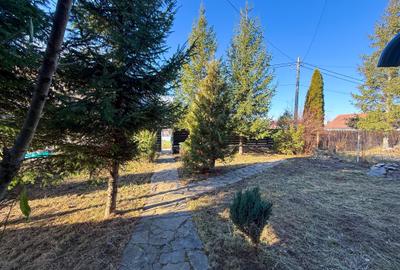 Casa Vacanta Bran 25 Km Brasov 5 Min Castelul Bran - 14