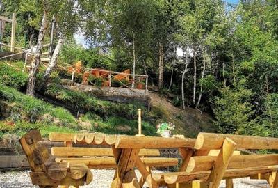 Oportunitate de investitie - pensiune de vanzare Moieciu de Jos - 10