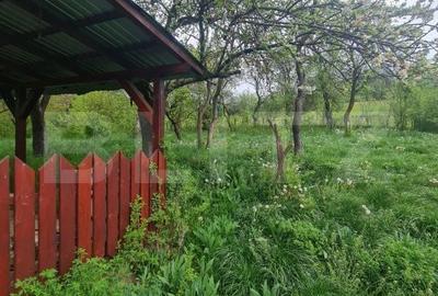 Casă cu 3 camere cu Teren 5520 Mp în Baciu - 10