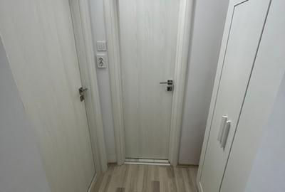 Baba Novac, ParkLake,Reconstructiei,Metrou Dristor 10 Min,renovat 2022 - 5