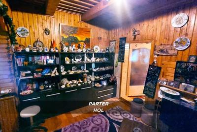 Casă cu 10 camere cu Teren 750 Mp în Central - 30