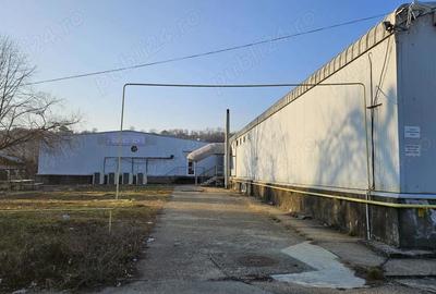 Spațiu comercial, de 30,000 mp, în Vălenii de Munte - 2