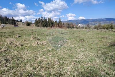 Teren intravilan in Suceava,Neagra Sarului,3002m.p.la 20km de V.Dornei - 5