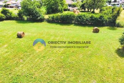 Teren intravilan 1657 mp sat Stejaru, comuna Pangarati Teren intravilan 1657 mp sat Stejaru, comuna Pangarati - 3