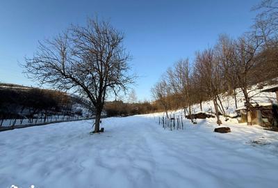 Casă cu 3 camere cu Teren 1079 Mp în Târnova - 6