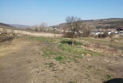 Teren de 1300 mp, în Livada (Iclod)